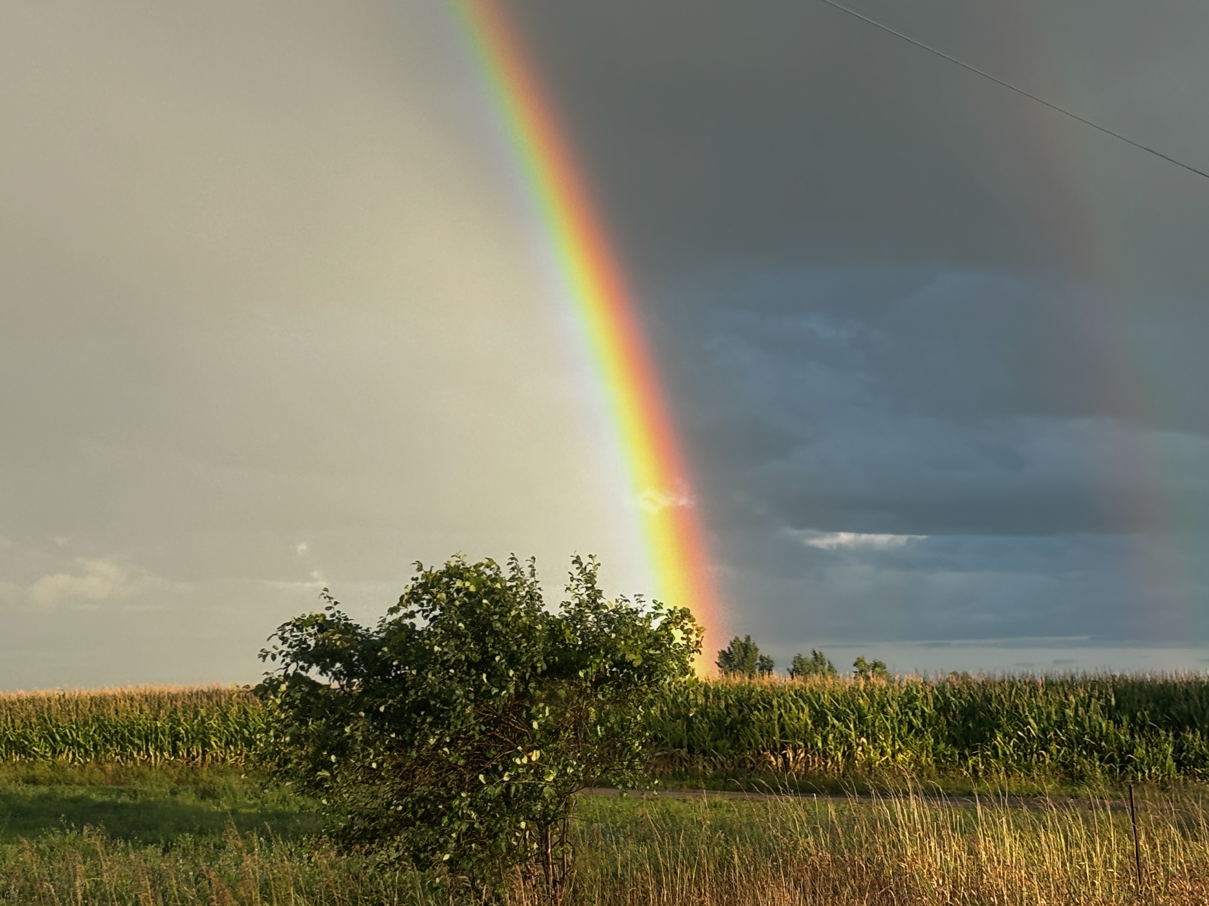 Curiosity Assignments